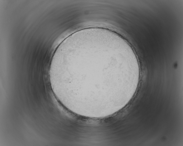 X0000115851521200912242027