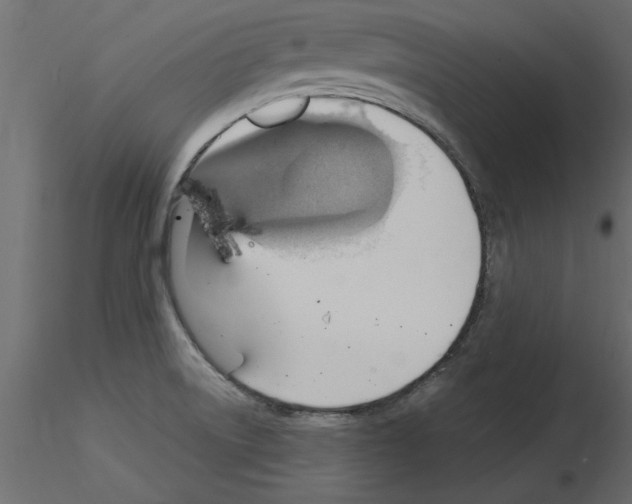X0000115851522200912242027
