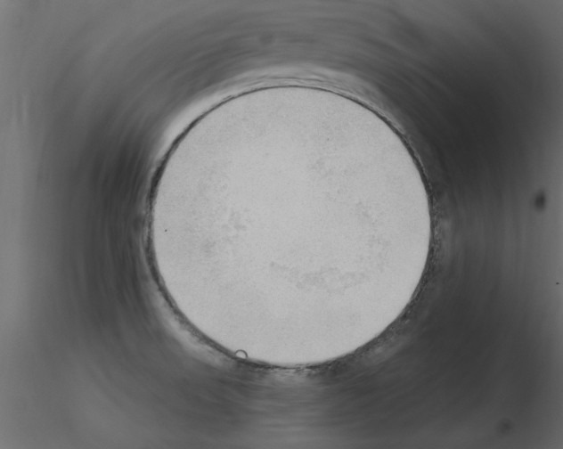 X0000115851523200912242027