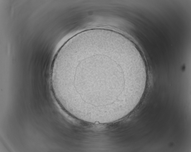 X0000115851525200912242027