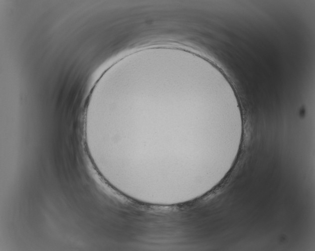 X0000115851526200912242027