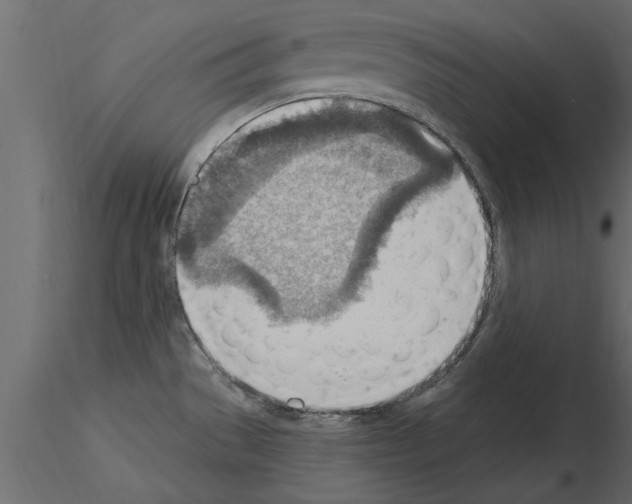 X0000115851529200912242027