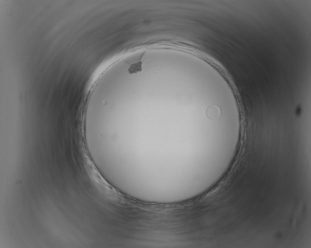 X0000115851530200912242027