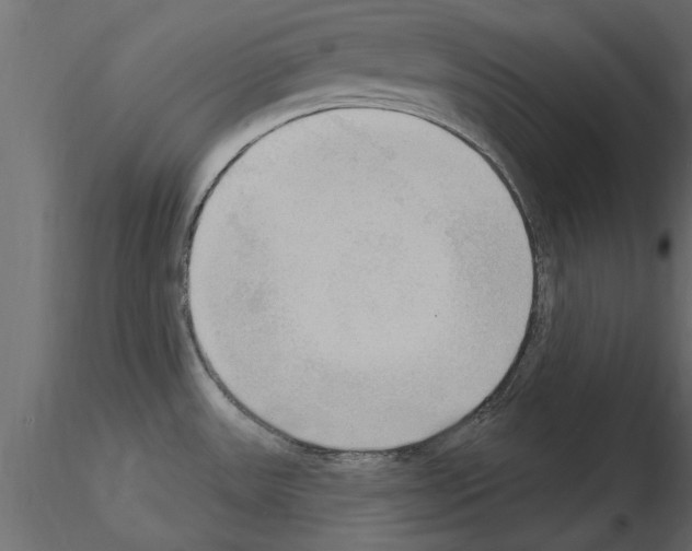 X0000115851531200912242027