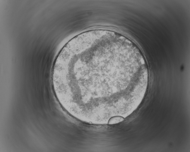 X0000115851533200912242027