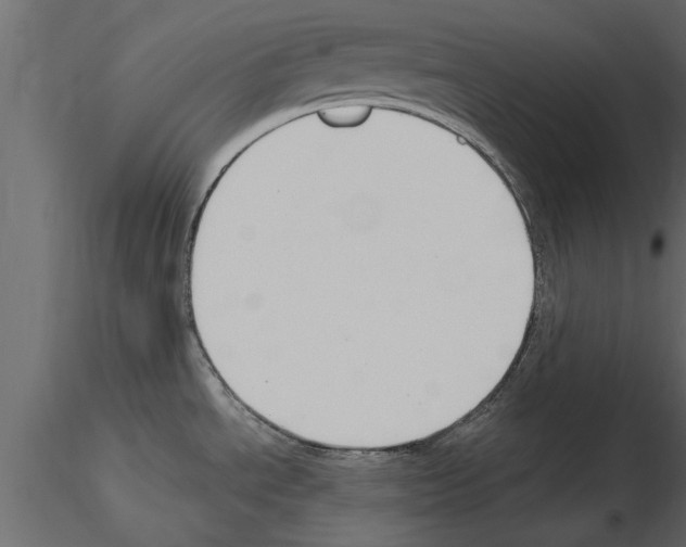 X0000115851534200912242027