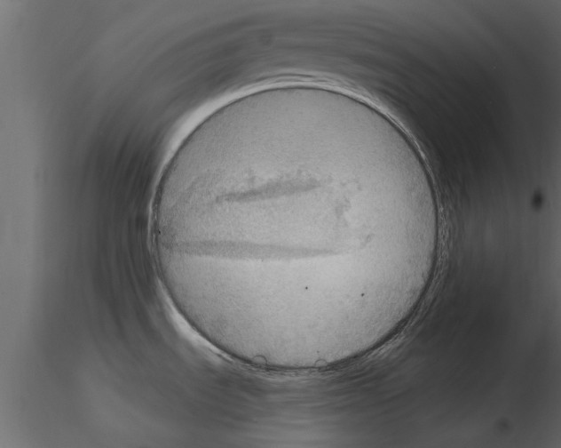 X0000115851535200912242027