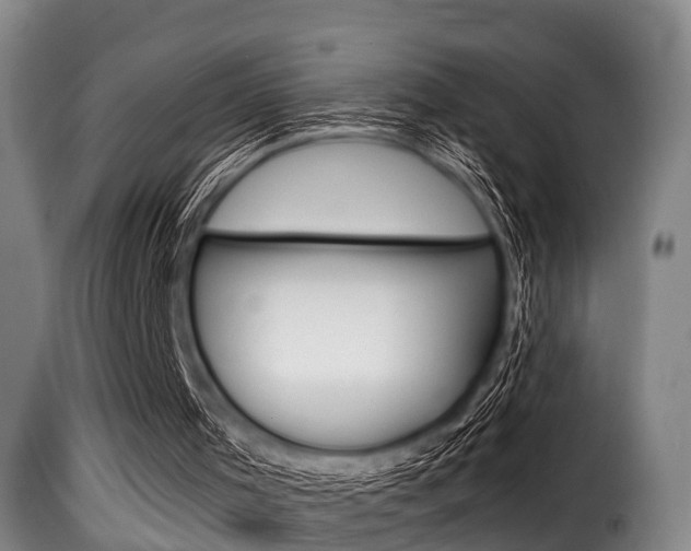 X0000116000001200911191225