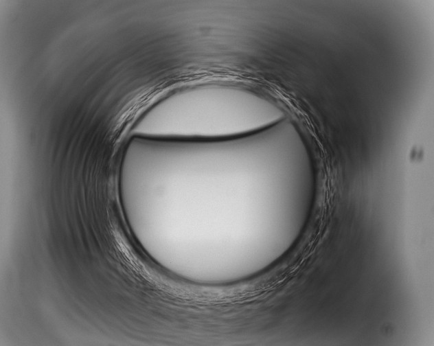 X0000116000002200911191225