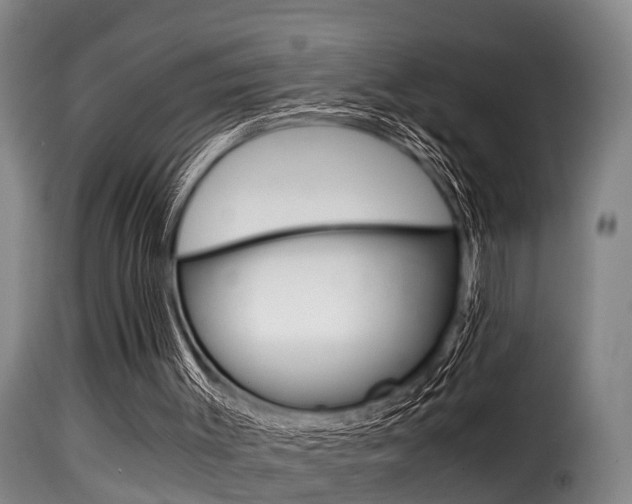 X0000116000003200911191225