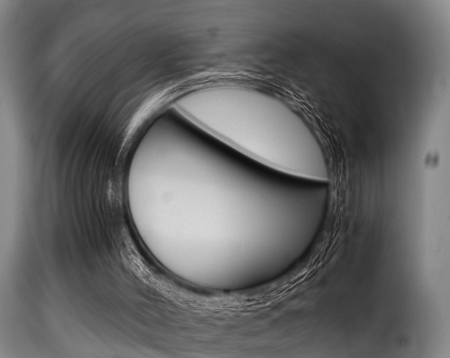 X0000116000004200911191225