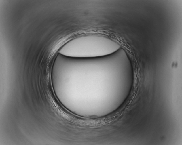 X0000116000005200911191225