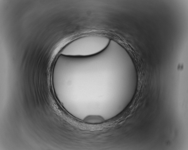 X0000116000006200911191225