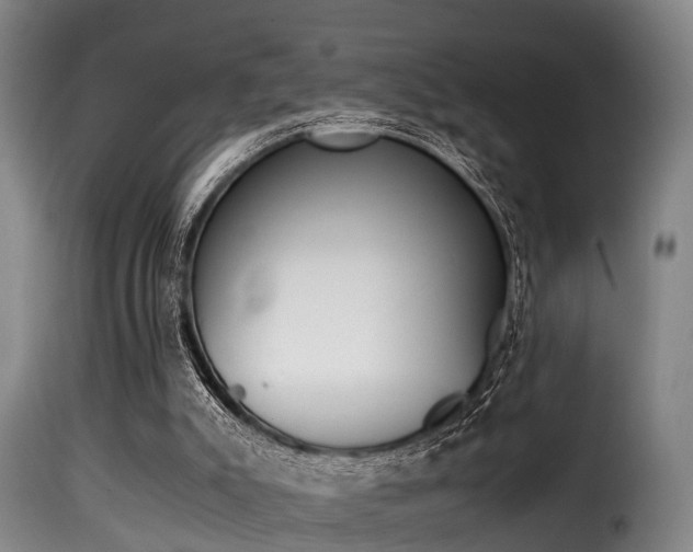 X0000116000007200911191225