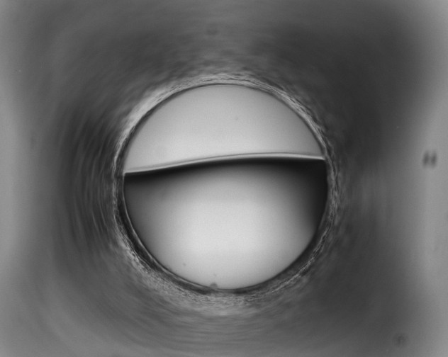 X0000116000008200911191225