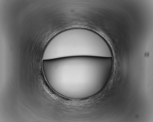 X0000116000009200911191225