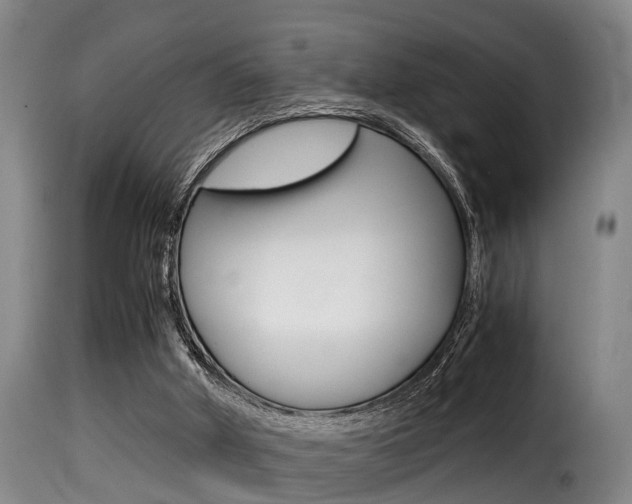 X0000116000010200911191225