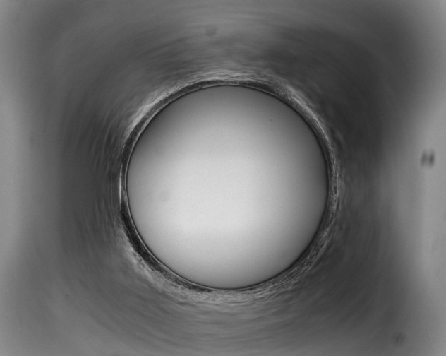 X0000116000011200911191225