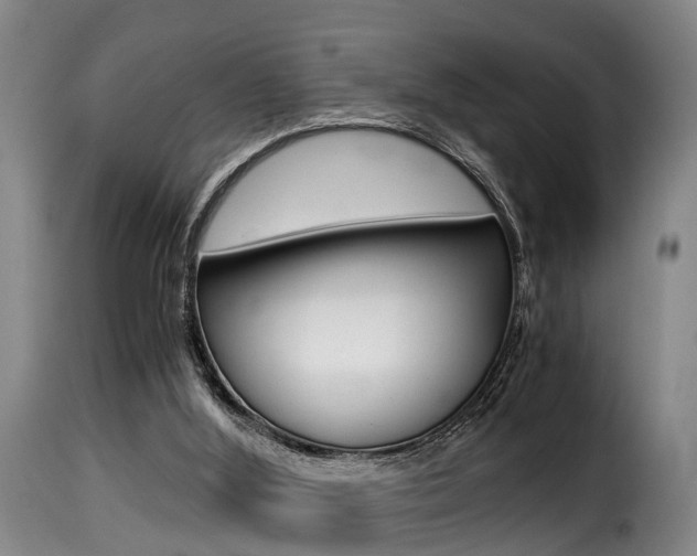 X0000116000012200911191225