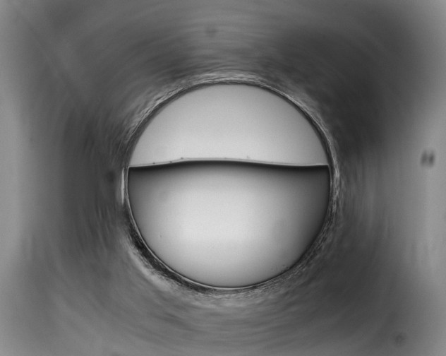 X0000116000013200911191225