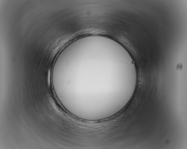 X0000116000014200911191225