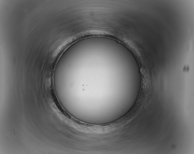 X0000116000015200911191225