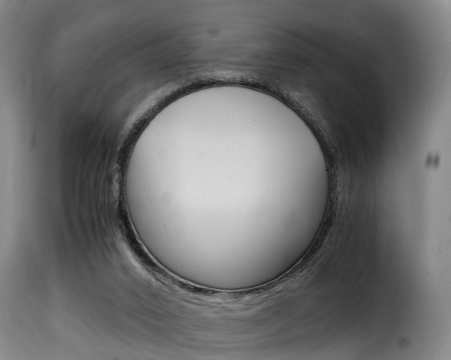 X0000116000016200911191225