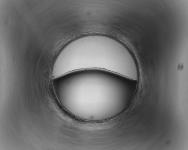 X0000116000017200911191225