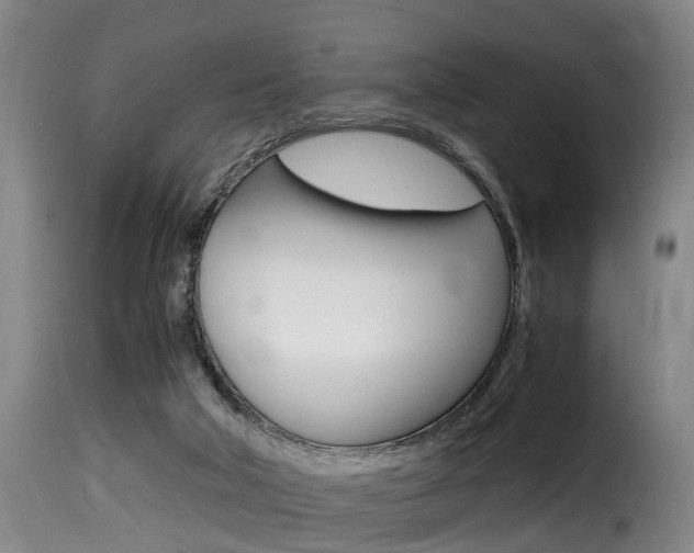 X0000116000018200911191225