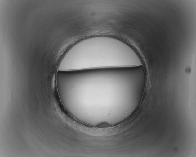 X0000116000019200911191225