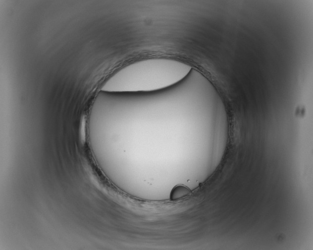 X0000116000022200911191225