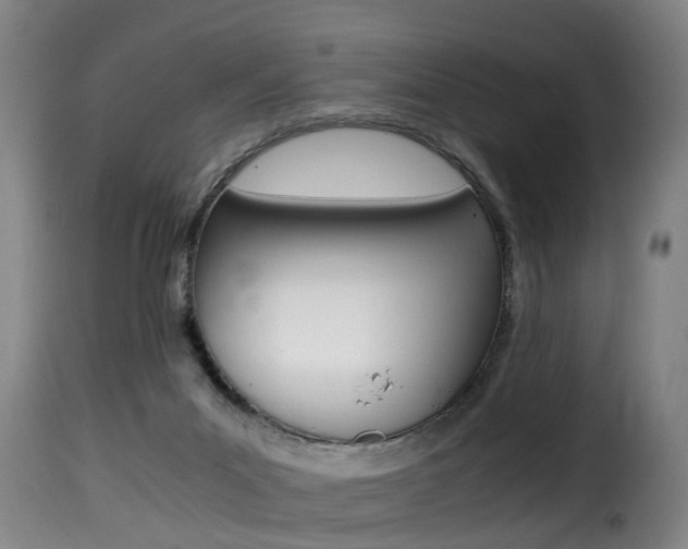 X0000116000023200911191225