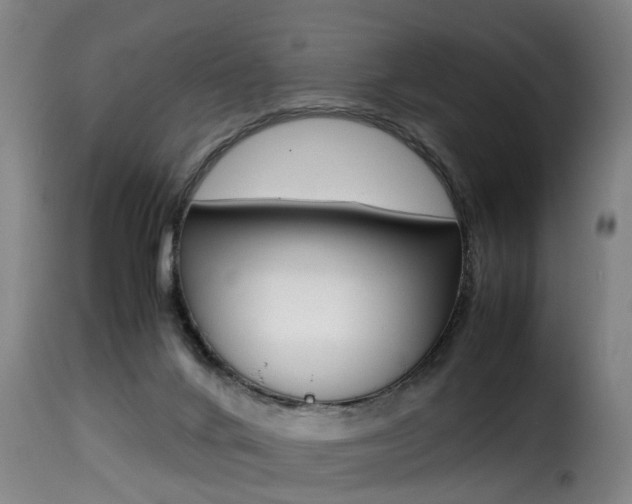 X0000116000024200911191225