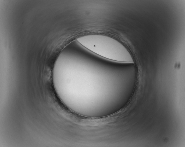 X0000116000025200911191225