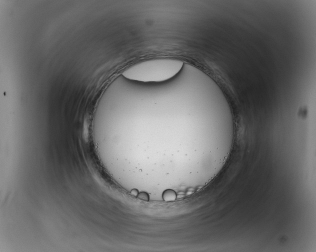 X0000116000026200911191225