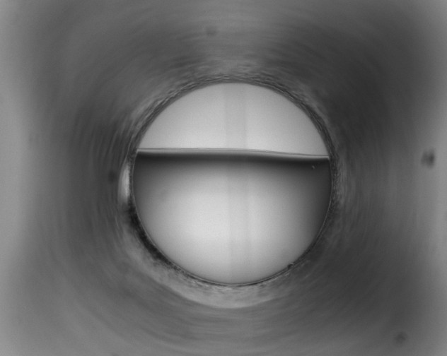 X0000116000027200911191225