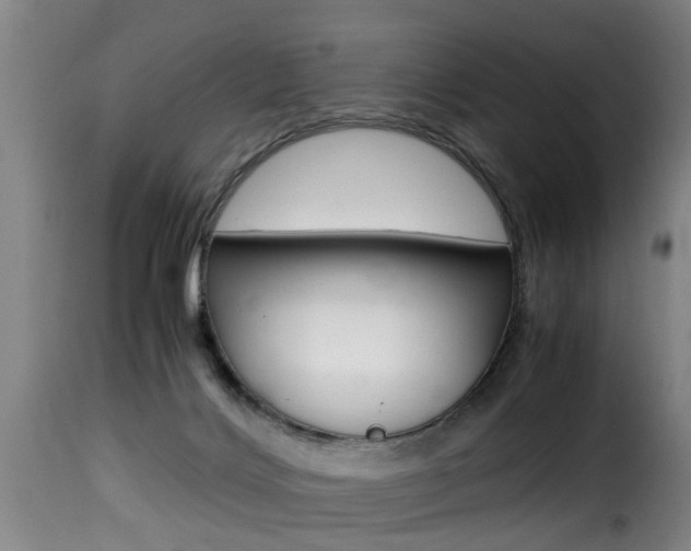 X0000116000028200911191225