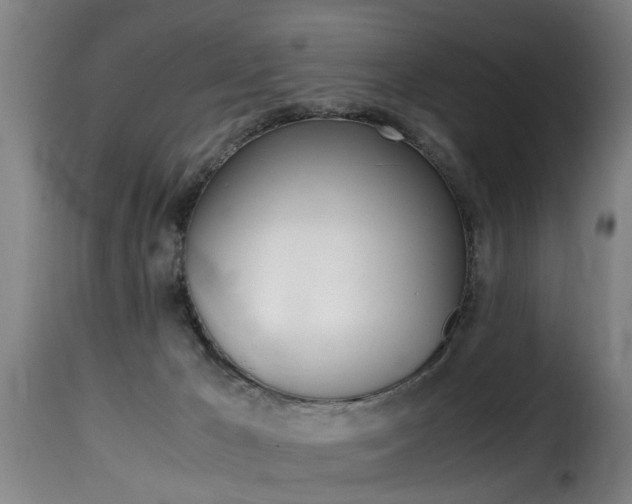 X0000116000029200911191224