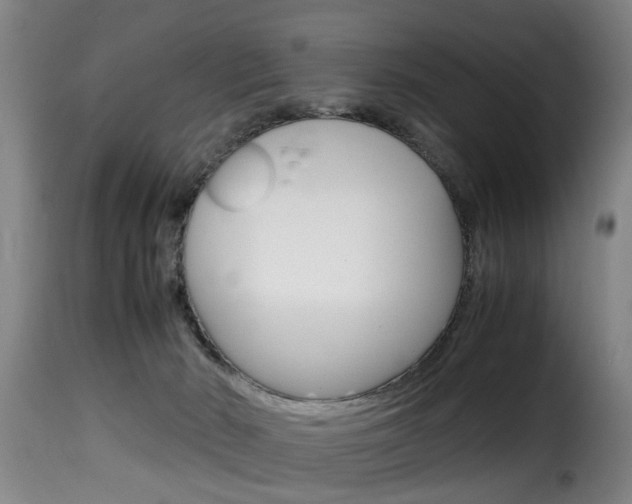 X0000116000030200911191224