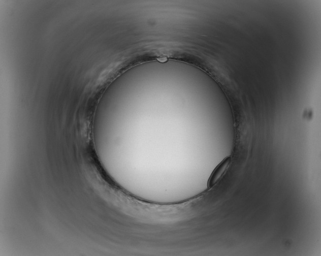 X0000116000031200911191224