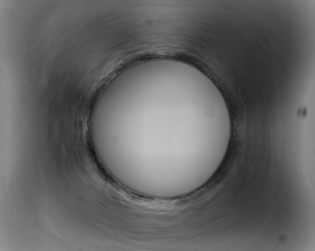 X0000116000032200911191224