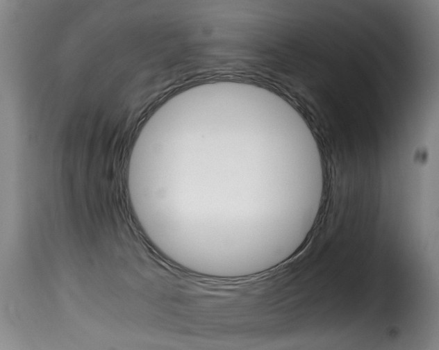 X0000116000033200911191224