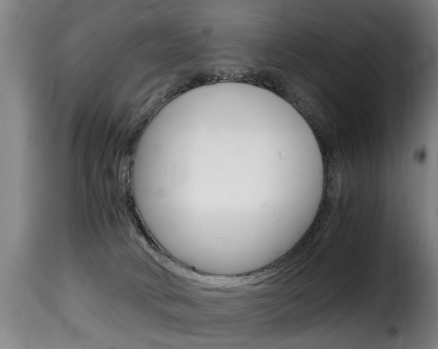 X0000116000034200911191224