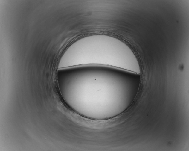 X0000116000035200911191224