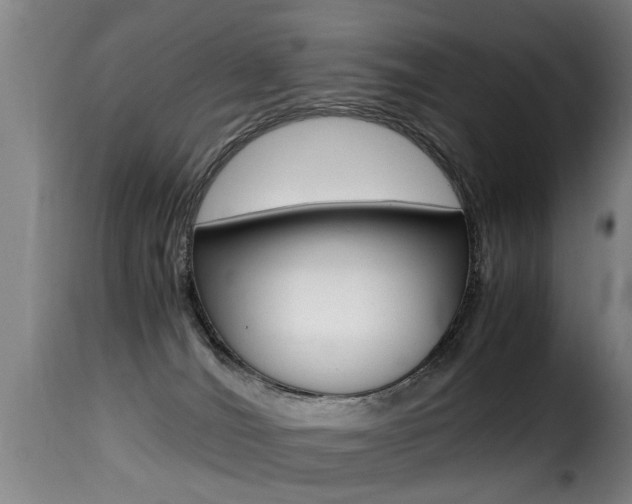 X0000116000036200911191224