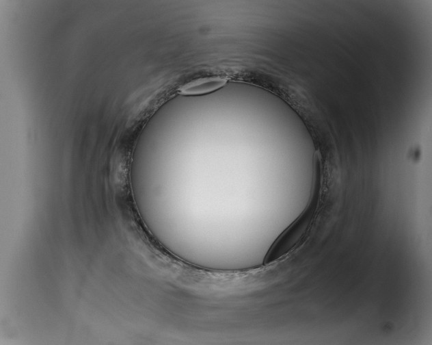 X0000116000037200911191224