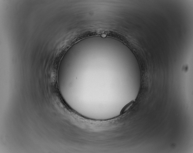 X0000116000039200911191224