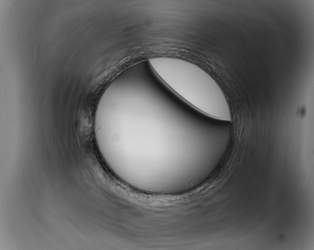 X0000116000040200911191224