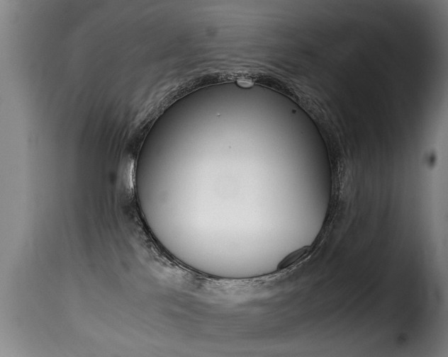 X0000116000041200911191224