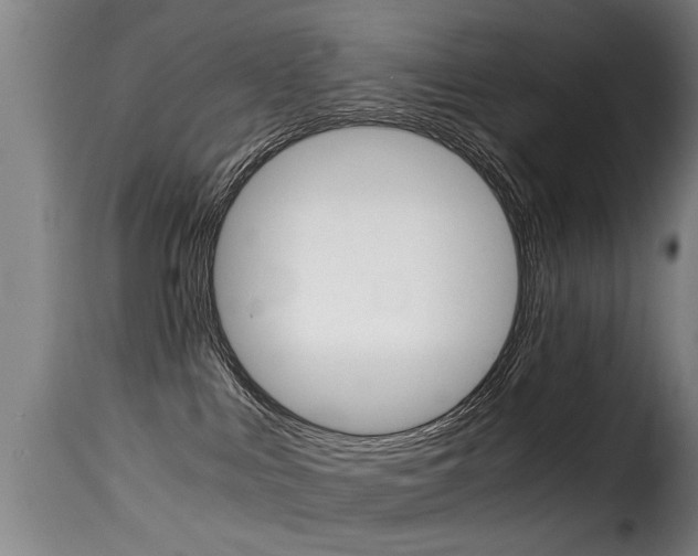 X0000116000043200911191224